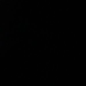 Meet your Posher, Big daddy andre